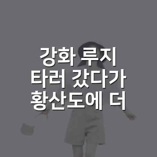 강화 루지 타러 갔다가 황산도에 더 오래 머문 날 - 요약