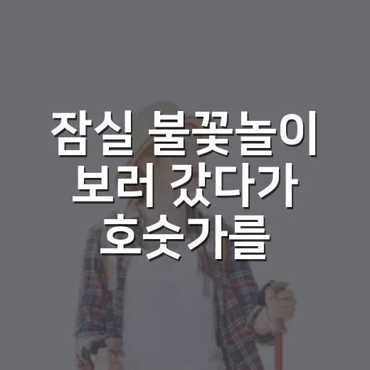 잠실 불꽃놀이 보러 갔다가 호숫가를 더 오래 걸었다 - 요약