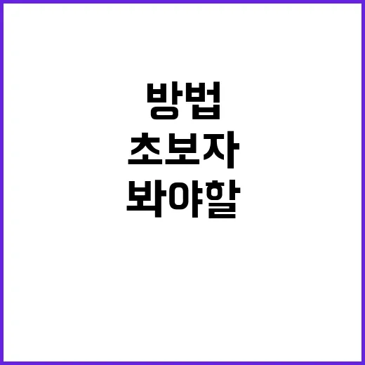 초보자를 위한 XRP 이해하는 방법: 가격보다 먼저 봐야 할 것들 - 요약