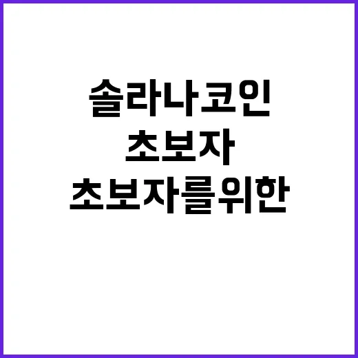 초보자를 위한 솔라나코인 이해하는 방법 - 요약