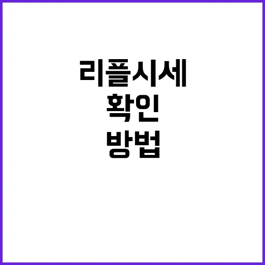 리플시세 처음 볼 때 이렇게 확인하는 방법 - 요약