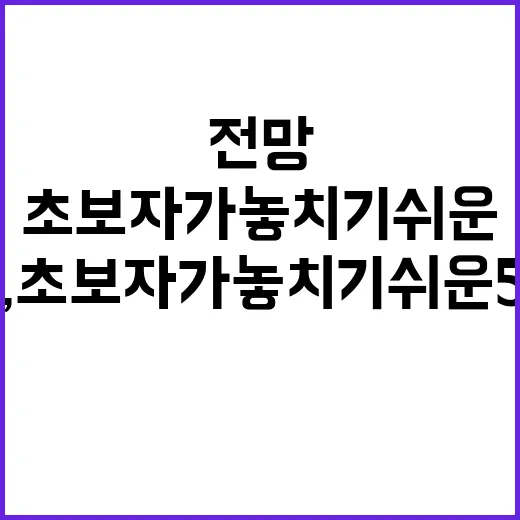 코인전망 확인하는 방법, 초보자가 놓치기 쉬운 5가지 기준 - 요약
