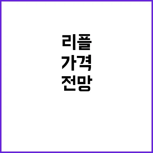 리플전망 확인하는 방법, 가격보다 먼저 봐야 할 5가지 - 요약