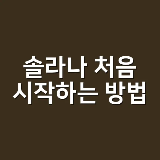 솔라나 처음 시작하는 방법: 지갑 만들기부터 수수료 확인까지 - 요약
