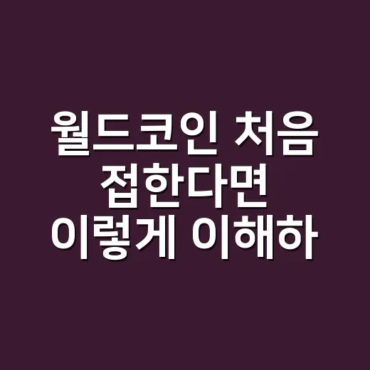 월드코인 처음 접한다면 이렇게 이해하면 쉽습니다 - 요약