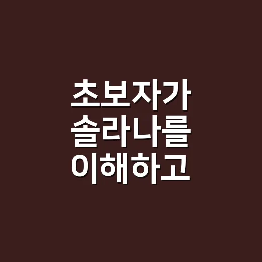 초보자가 솔라나를 이해하고 지갑까지 준비하는 방법 - 요약