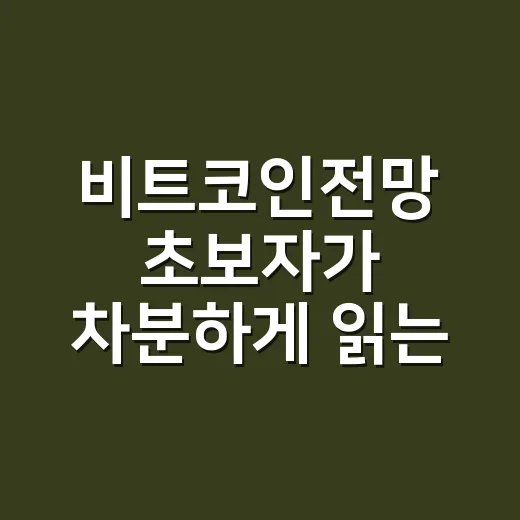 비트코인전망 초보자가 차분하게 읽는 방법 - 요약
