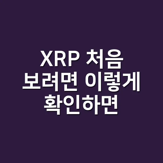 XRP 처음 보려면 이렇게 확인하면 됩니다 - 요약