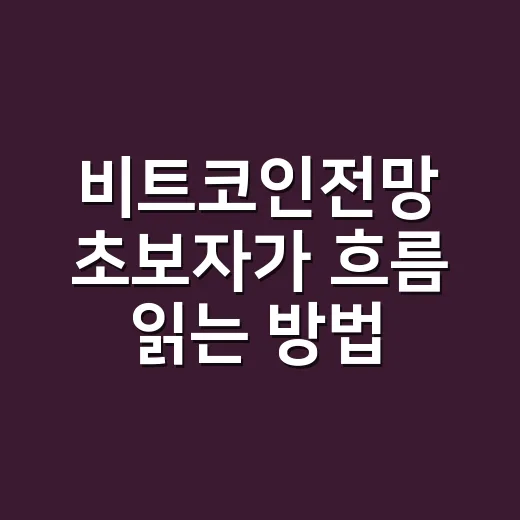 비트코인전망 초보자가 흐름 읽는 방법 - 요약