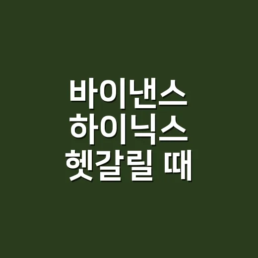 바이낸스 하이닉스 헷갈릴 때 투자 경로 구분하는 방법 - 요약