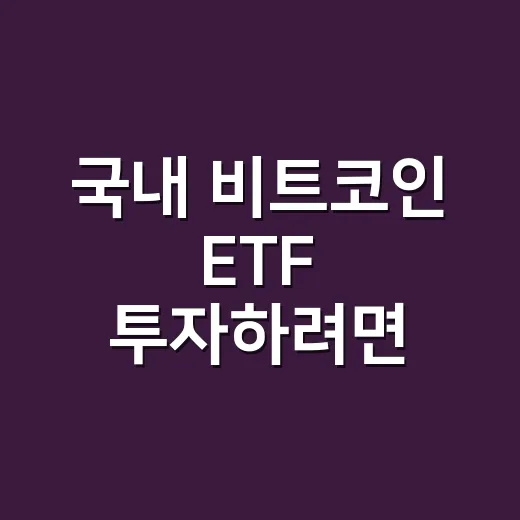 국내 비트코인 ETF 투자하려면 이렇게 확인하세요 - 요약