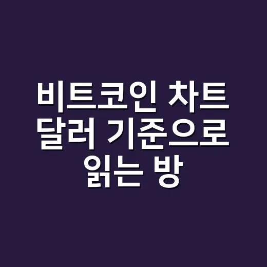 비트코인 차트 달러 기준으로 읽는 방법 - 요약