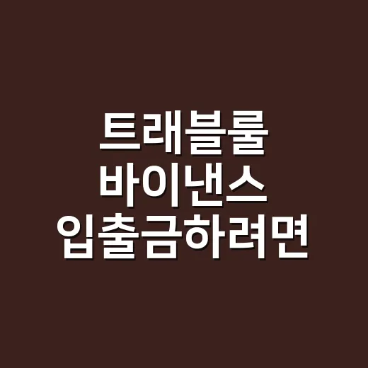 트래블룰 바이낸스 입출금하려면 이렇게 확인하세요 - 요약