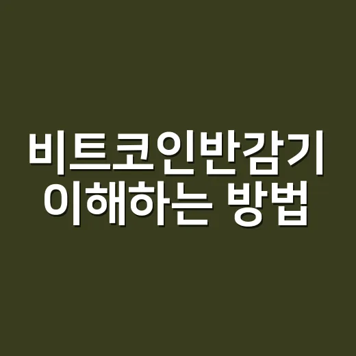 비트코인반감기 이해하는 방법: 초보자가 가격 흐름을 읽는 기준 - 요약