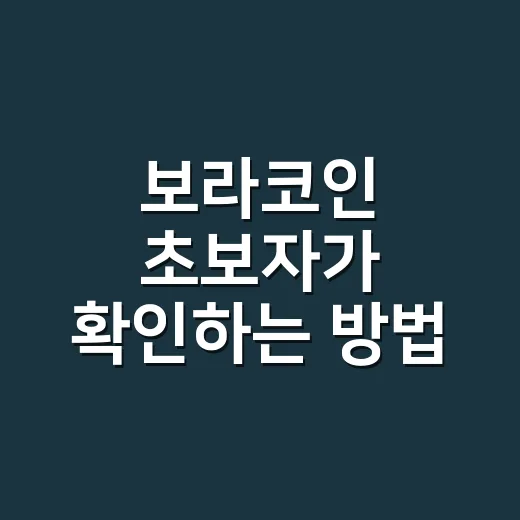 보라코인 초보자가 확인하는 방법 - 요약