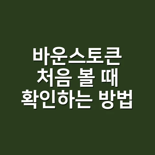바운스토큰 처음 볼 때 확인하는 방법: AUCTION 구조와 리스크 읽기 - 요약