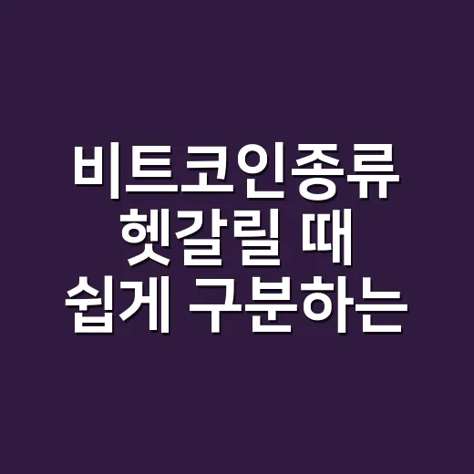 비트코인종류 헷갈릴 때 쉽게 구분하는 방법 - 요약