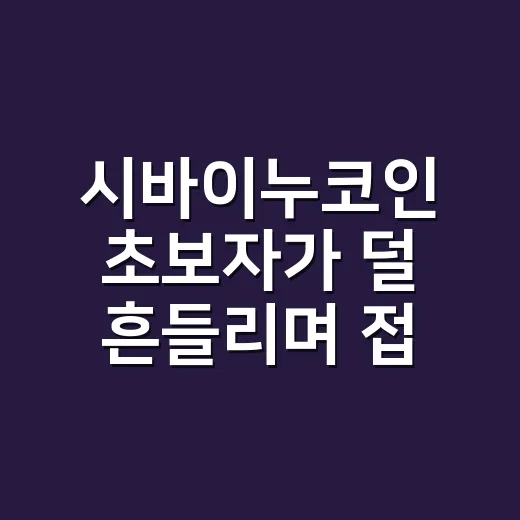 시바이누코인 초보자가 덜 흔들리며 접근하는 방법 - 요약