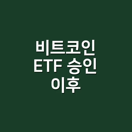 비트코인 ETF 승인 이후 투자하려면 이렇게 확인하세요 - 요약