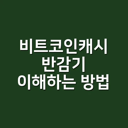 비트코인캐시 반감기 이해하는 방법: 날짜보다 먼저 봐야 할 것들 - 요약