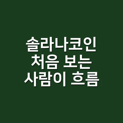 솔라나코인 처음 보는 사람이 흐름 잡는 방법 - 요약