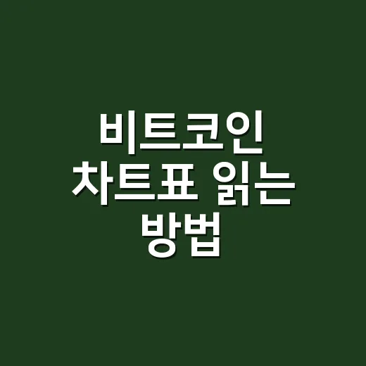 비트코인 차트표 읽는 방법, 처음 보는 사람도 헷갈리지 않게 보는 순서 - 요약