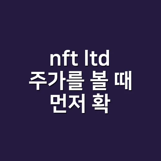 nft ltd 주가를 볼 때 먼저 확인하는 방법 - 요약