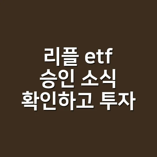 리플 etf 승인 소식 확인하고 투자 판단하는 방법 - 요약