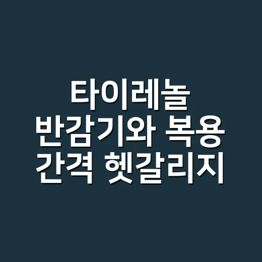 타이레놀 반감기와 복용 간격 헷갈리지 않는 방법 - 요약