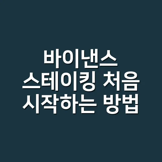 바이낸스 스테이킹 처음 시작하는 방법 - 요약