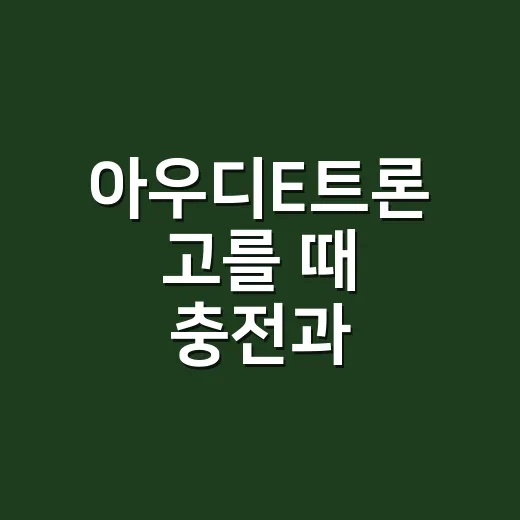 아우디E트론 고를 때 충전과 주행거리 따지는 방법 - 요약