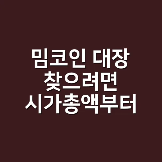 밈코인 대장 찾으려면 시가총액부터 보세요 - 요약