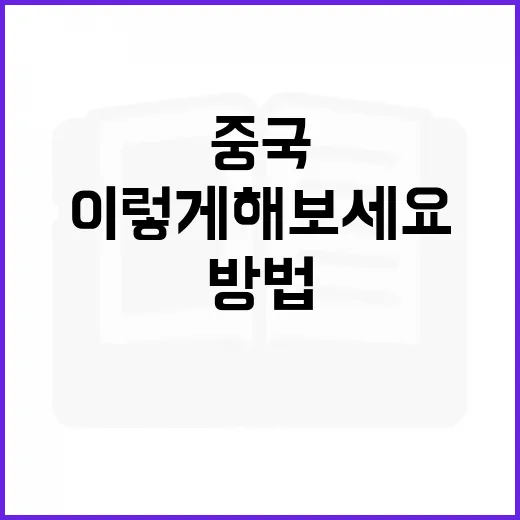 중국 더우즈 활용하는 방법, 이렇게 해보세요! - 요약