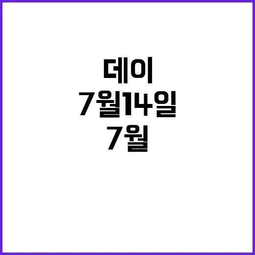 7월 14일 데이 챙기려면 이렇게 준비하면 부담이 적어요 - 요약