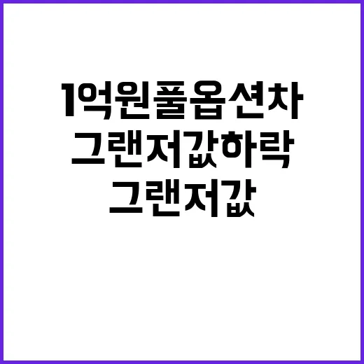 1억원 풀옵션차 고민할 때 그랜저값 하락을 보는 방법 - 요약