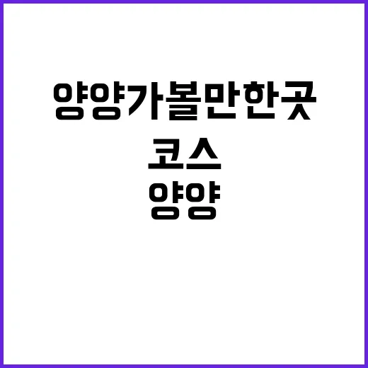 양양가볼만한곳 처음 가도 실패 적은 하루 코스 짜는 방법 - 요약