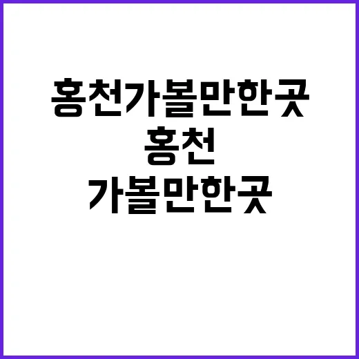 홍천가볼만한곳 알차게 도는 방법, 계절별로 이렇게 잡으면 편해요 - 요약