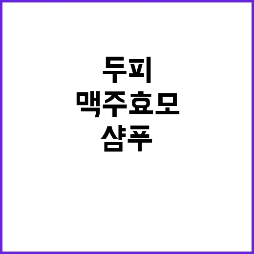맥주효모샴푸 고르는 방법, 두피 타입별로 이렇게 보면 편해요 - 요약