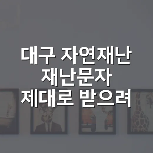 대구 자연재난 재난문자 제대로 받으려면 이렇게 설정하세요 - 요약