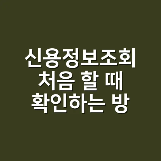 신용정보조회 처음 할 때 확인하는 방법과 점수 지키는 습관 - 요약