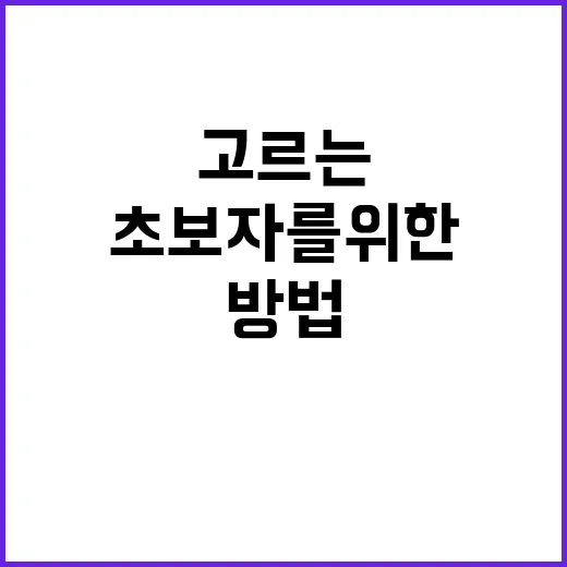 초보자를 위한 빗 고르는 방법, 머릿결과 상황에 맞게 쓰려면 이렇게 - 요약