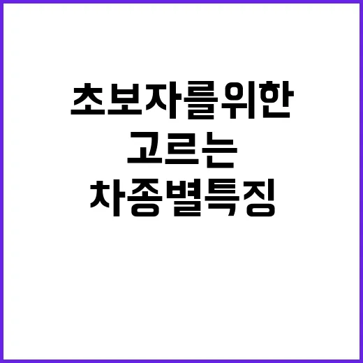초보자를 위한 토요타 고르는 방법, 차종별 특징과 구매 포인트 - 요약