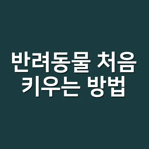 반려동물 처음 키우는 방법, 생활비부터 습관 만들기까지 이렇게 준비하세요 - 요약