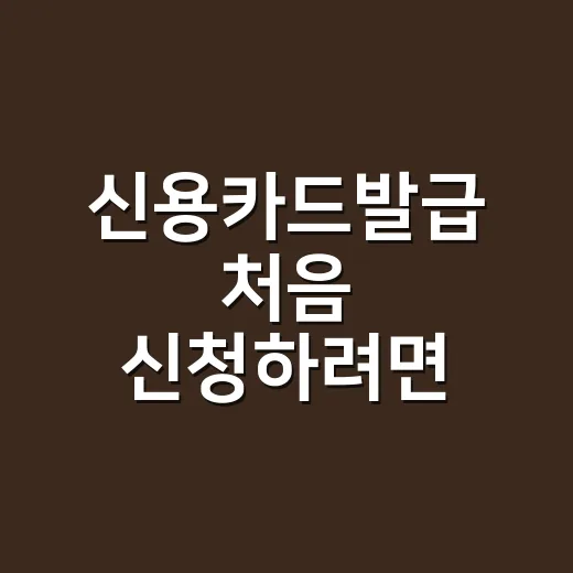 신용카드발급 처음 신청하려면 이렇게 준비하면 덜 헤맵니다 - 요약