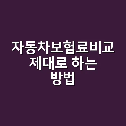 자동차보험료비교 제대로 하는 방법, 같은 보장으로 더 싸게 찾으려면 이렇게 - 요약