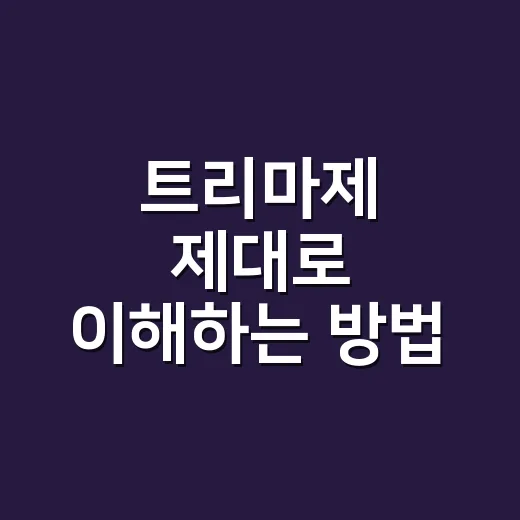 트리마제 제대로 이해하는 방법, 입지부터 생활감까지 초보자 눈높이로 - 요약