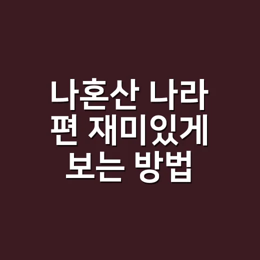 나혼산 나라 편 재미있게 보는 방법, 권나라 일상 포인트 챙기기 - 요약
