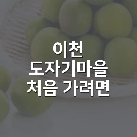 이천 도자기마을 처음 가려면 이렇게 둘러보면 편해요 - 요약