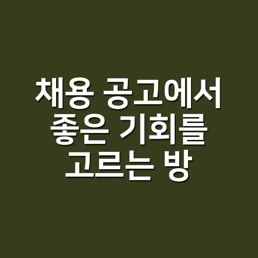 채용 공고에서 좋은 기회를 고르는 방법 - 요약