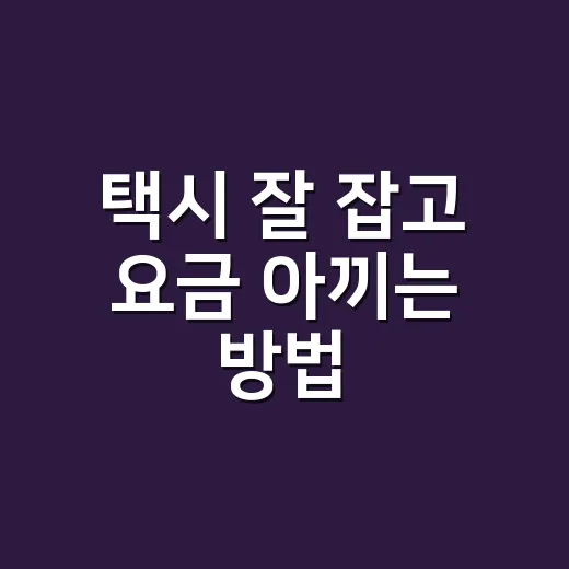 택시 잘 잡고 요금 아끼는 방법, 초보자도 헷갈리지 않게 이렇게 하면 됩니다 - 요약